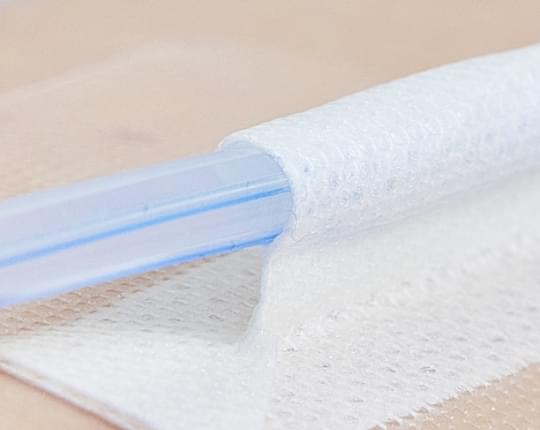 スキマなくフィット菌の侵入口ができにくい