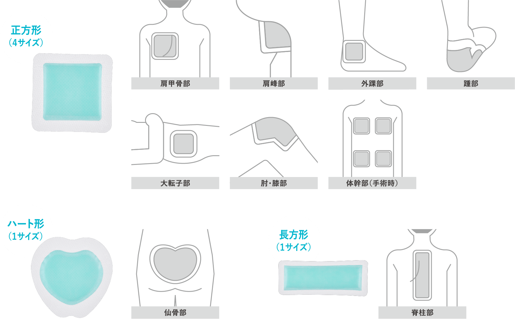 豊富な形＆サイズで、さまざまな部位や範囲をしっかりカバーします。