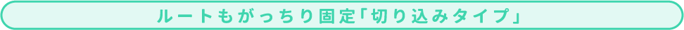 ルートもがっちり固定「切り込みタイプ」
